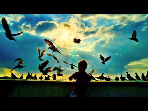Rogue - Air (Summer Chords)