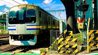 【横須賀線E217系鉄道引退MV】 YELL #JR東日本 #横須賀線 #E217系 #引退車両  #YELL #鉄道MV #引退MV