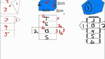 Section 4.1- Exploring Nets Section 4.2-Creating and identifying nets