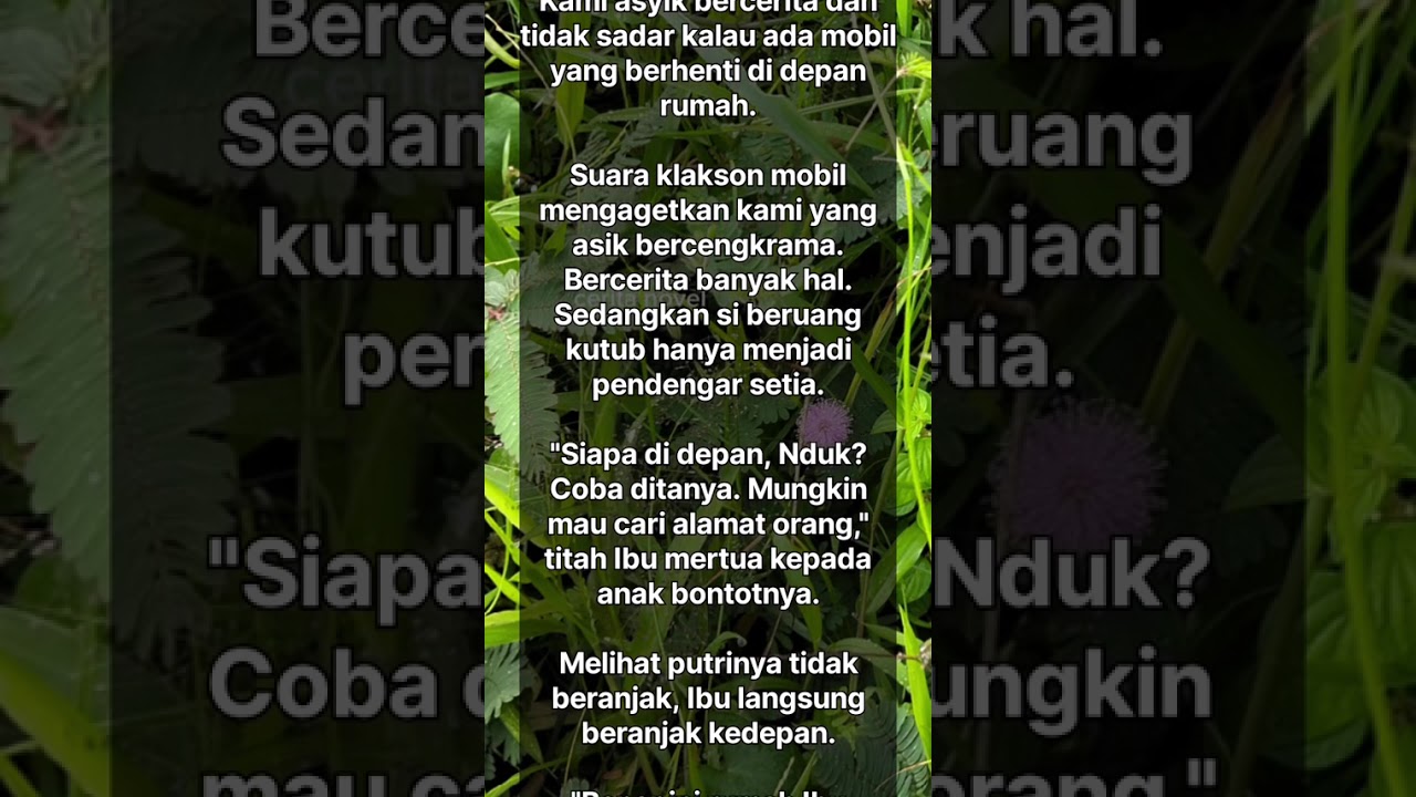 Bukan Menantu Biasa 11
