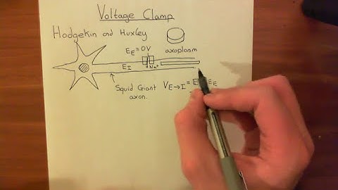 The Voltage Clamp Part 1