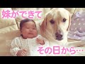 生まれた時から一緒だけど…。ふたりの関係にある変化が起きた