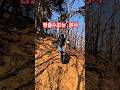 소나무길 산악 외발 전동휠 #euc #외발충전휠 #외발전동휠 #산악전동휠 #shorts #offroad #전동휠 #riding