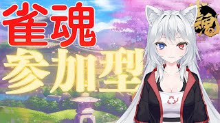 白猫のはくにゃんの配信のサムネイル画像