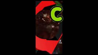 CBBC Ident Mashup 3 (Swearing on C1,Butt on B1,Screaming on B2 and Blood on C2)