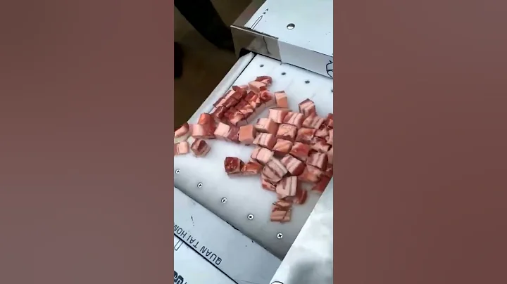 Electric Fresh Meat Cube Dicer Slicer Cutting Machine Poultry Chicken Cutter Dice Cutting Machine