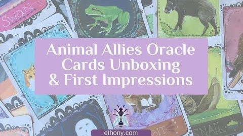 Animal Allies Oracle Cards Unboxing and First Impressions