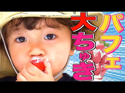 【甘党の夢】リアリタと三人でトッピング満載の「パフェ」作りに挑戦！