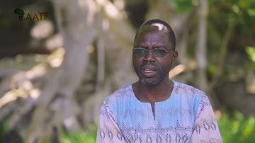 Malawi award-winning scientist Prof Abel Sefasi on innovation’s role in agricultural transformation