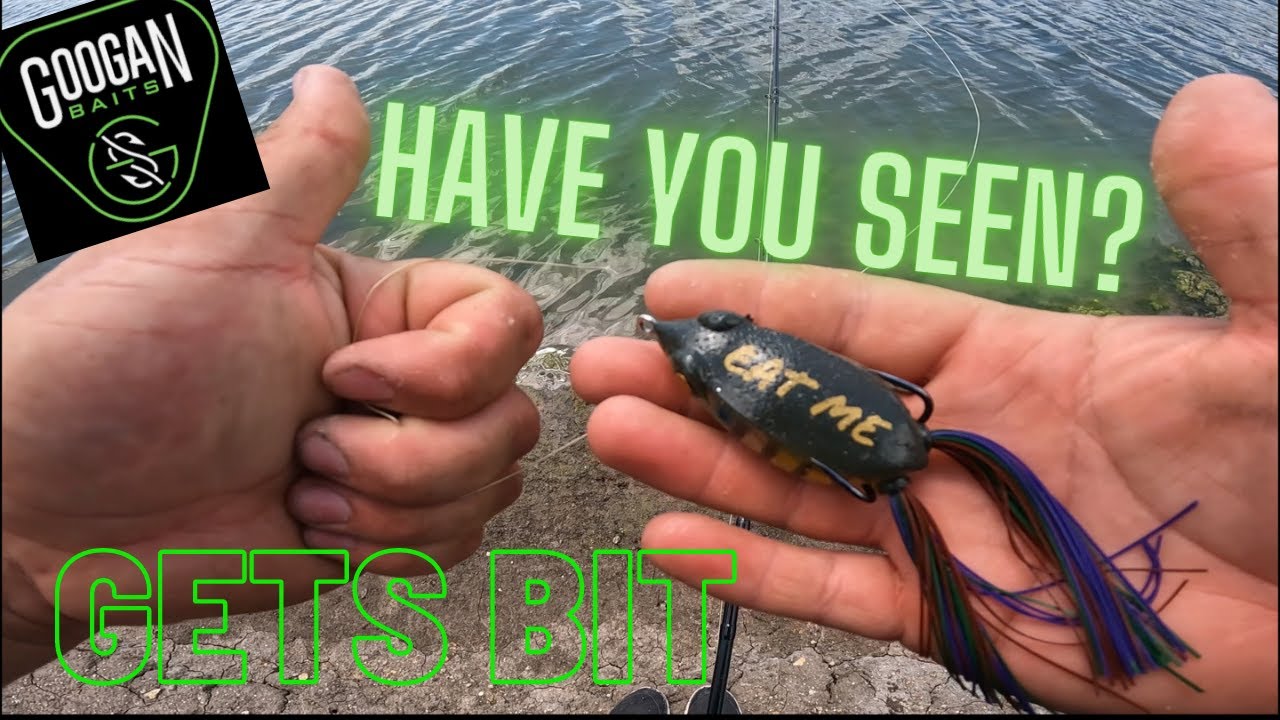 GOOGAN BAITS FILTHY FROG! | We’re Impressed