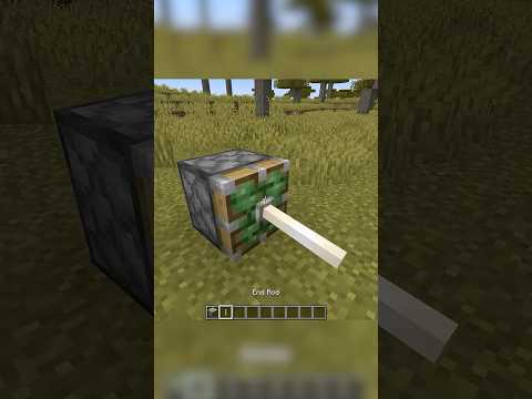 Bản Mod KÌ QUẶC Nhất Mình Từng Thấy Trong Minecraft... #minecraft