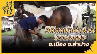 วิถีรถม้าลำปาง บ้านวังหม้อ อ.เมือง จ.ลำปาง | ซีรีส์วิถีคน [CC]