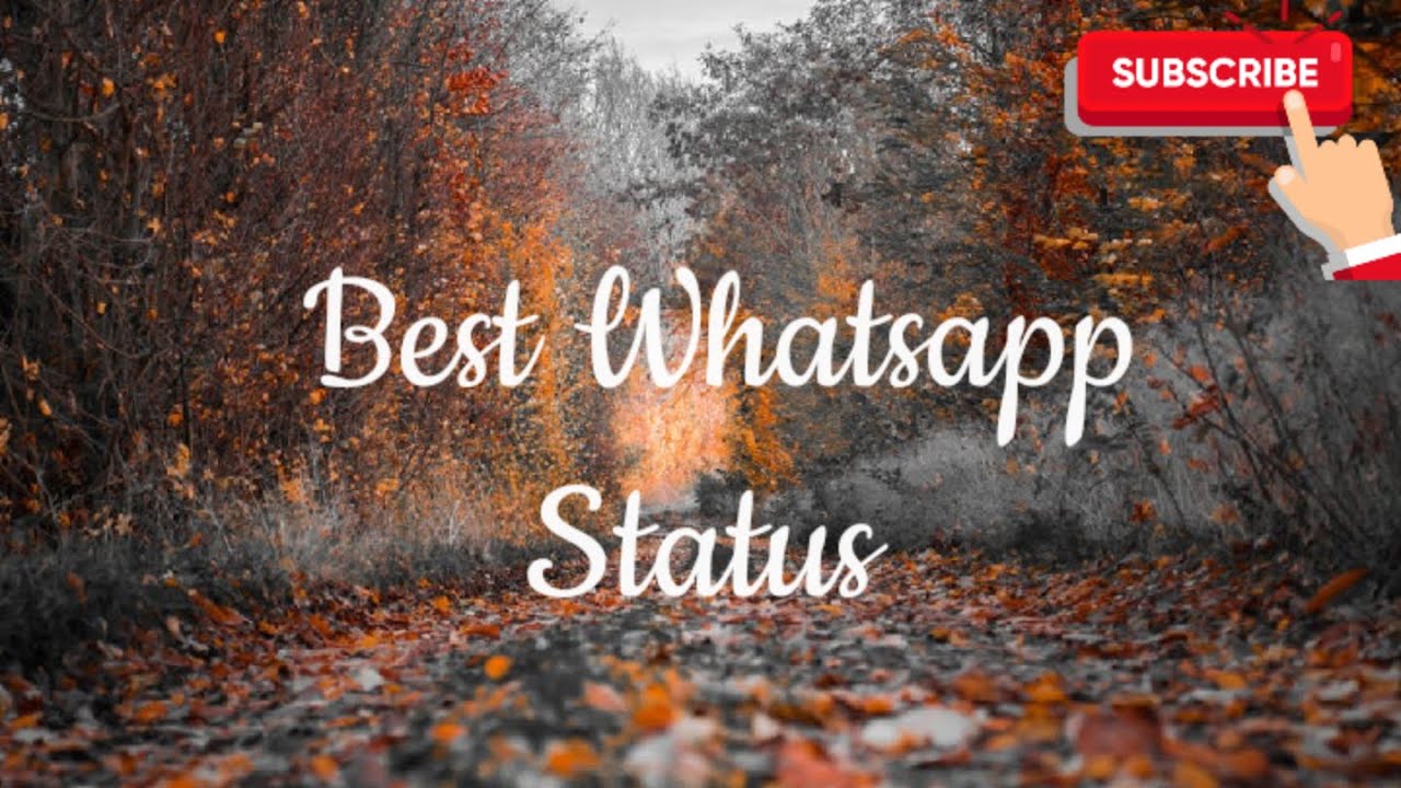 Shayari Best Whatsapp Status Zindagi Shyari YouTube