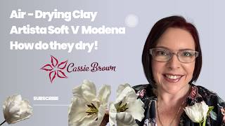 Modena v Artista Soft/Hearty, Can I mix the Clays together?  What they look like when they are dry. screenshot 4