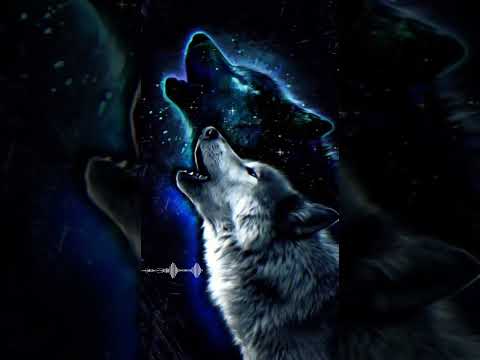 Turkish wolf sound music ringtone very smooth #shortvideo #viral thebrightinvent