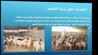 محطة الابحاث الزراعية الاولى في كلية الزراعة / جامعة المثنى