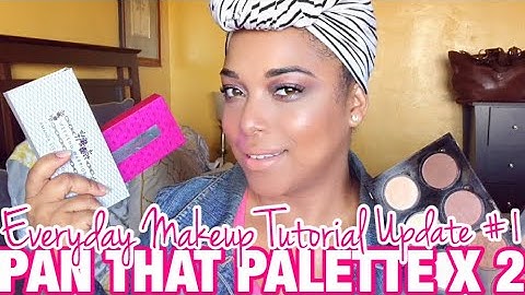 Pan That Palette Update #1 | One Month One Palette | Project Pan 2017 / 2018 | MelissaQ