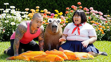 Hùng trọc và Tí béo phá bể cá nghìn tỉ của anh 2 béo #capybara