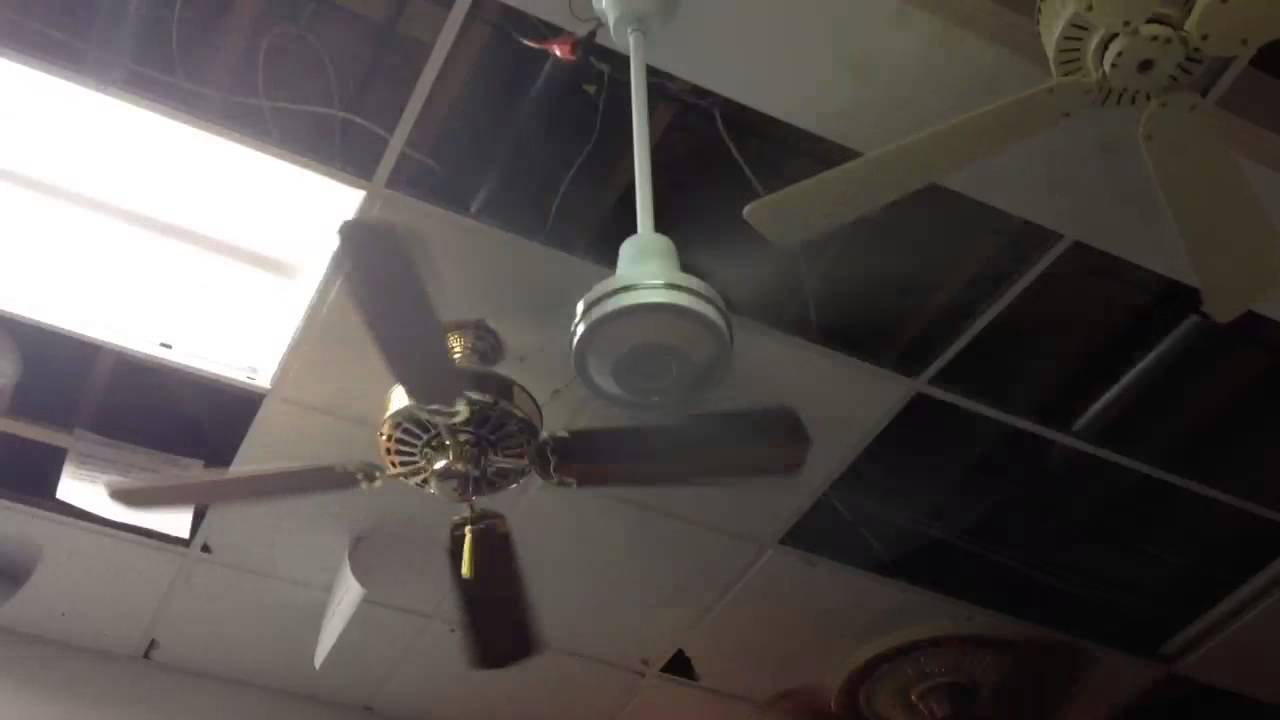 48 Dayton Commercial Ceiling Fan