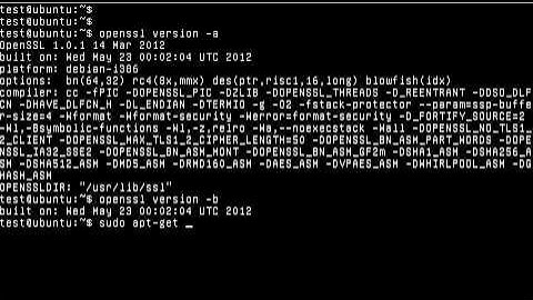 How to Fix OpenSSL Heart Bleed Bug on Ubuntu