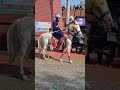 akaal  video, sang pai jaan