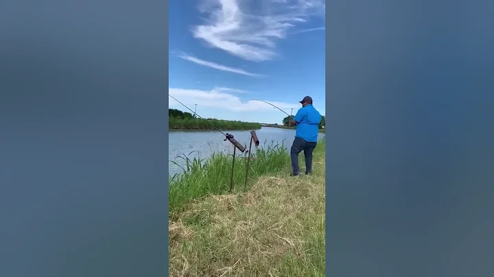 Esteban Sauceda working them carp!