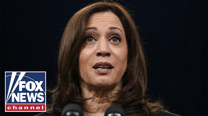Kamala Harris failed at her job: Homan