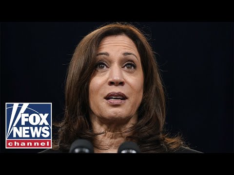 Kamala harris failed at her job: homan