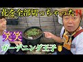 【Gガーデン4三上真史先生🍀全部切っちゃうの!?️】花を増やす為には必要!?️