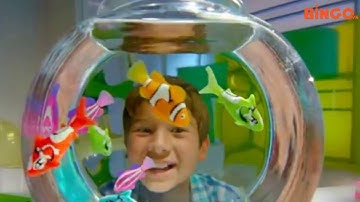 ROBO FISH - MÓN QUÀ ĐỘC ĐÁO CHO BÉ