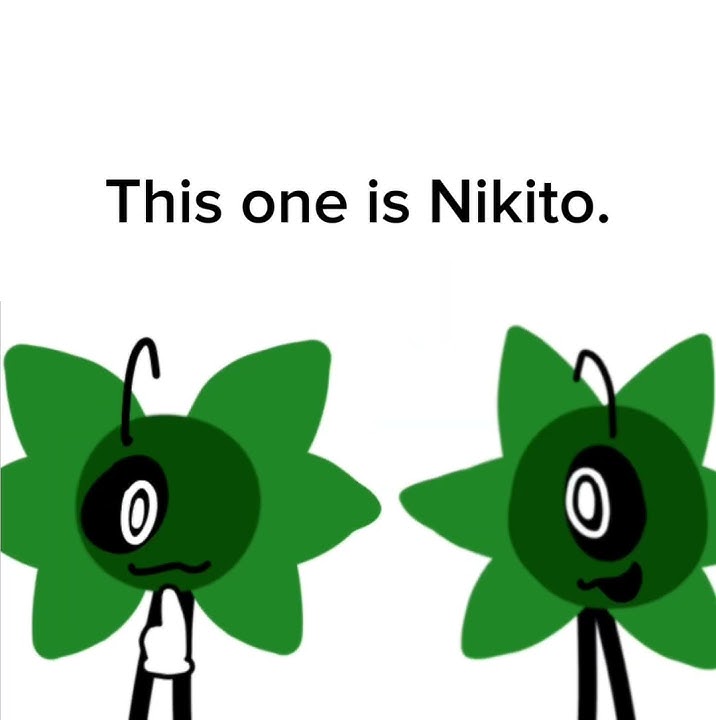 So which one of us is Hikaru? || KINITOPET! || @BONGAYAN13 ||