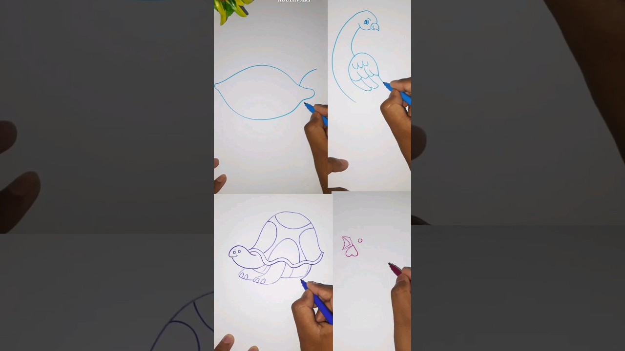 Drawing for Kids | 