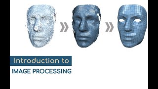 Introduction to Digital Image Processing | What is Digital Image Processing | Pincore Communal