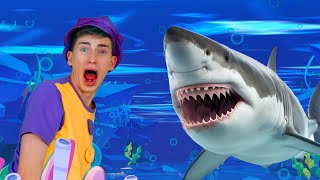 Sharks in the Water! 🦈 | Kids Funny Songs