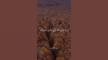 يَا أَيُّهَا الَّذِينَ آمَنُوا تُوبُوا إِلَى اللَّهِ تَوْبَةً نَّصُوحًا || سورة التحريم || علي جابر
