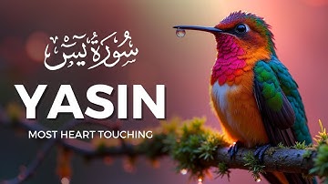 Surah Yasin (Yaseen) سورة يس | This Calm Voice Will TOUCH Your HEART إن شاء الله | Quranic Akhira
