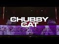 DEAR DIARY, I WANNA DIE - Chubby Cat