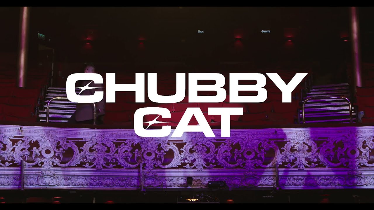 DEAR DIARY, I WANNA DIE - Chubby Cat