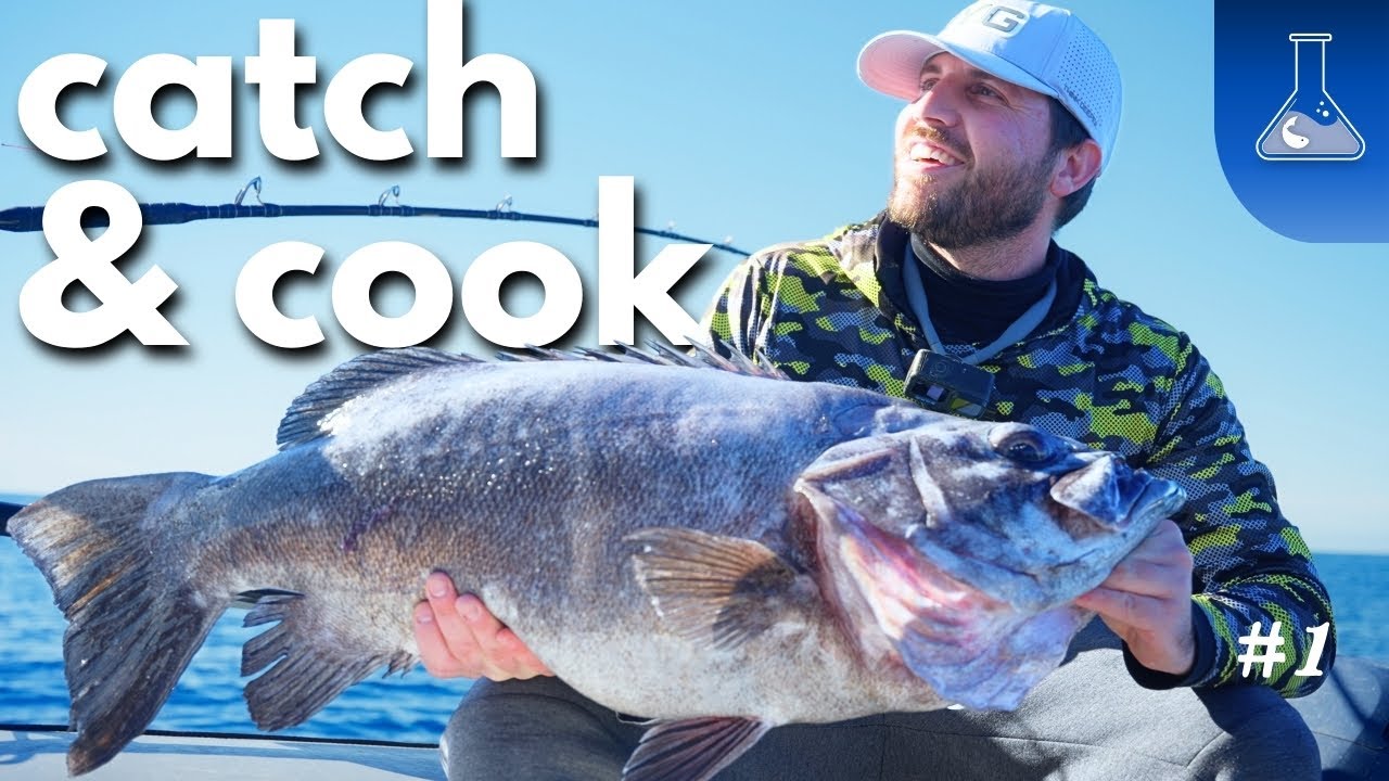 Ψάρεμα στα βαθειά! Σουβλάκια ψάρι! - Wreck fish Fishing catch & cook! English subs!