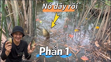 Câu Cá-Rô Đồng Phần 1-Những Điểm Huyền Thoại Không Bao Giờ Làm Ta Thất Vọng / lãng tử miền tây T12