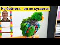 Гриша - птица важная, но вежливая и компанейская. (видео 542)