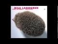 Nils Landgren - I Will Survive