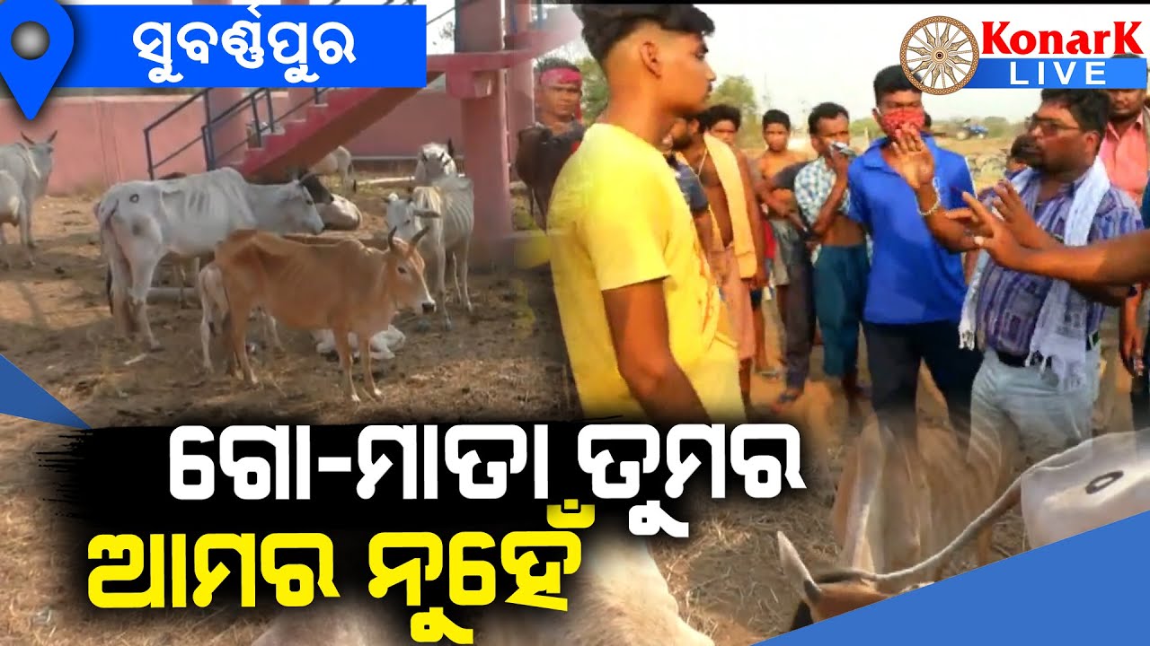 ବେଆଇନ ଗୋଚାଲାଣକୁ ଅଟକାଇଲା ବଜରଙ୍ଗଦଳ, ସୁବର୍ଣ୍ଣପୁର || SUBARNAPUR NEWS