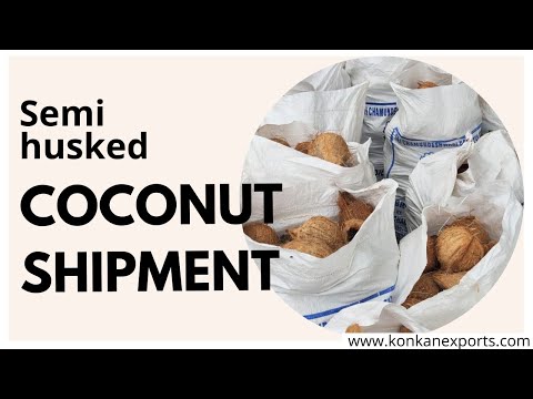 Exporter & Supplier of Fresh & dry Coconuts