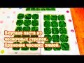 Вкусная паста из чесночных стрелок. Хранение чеснока зимой