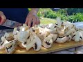 Рецепт Самых Вкусных Грибов❗❗❗ Mushrooms
