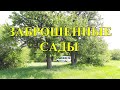 Заброшенные сады - неплохое место для копа!!