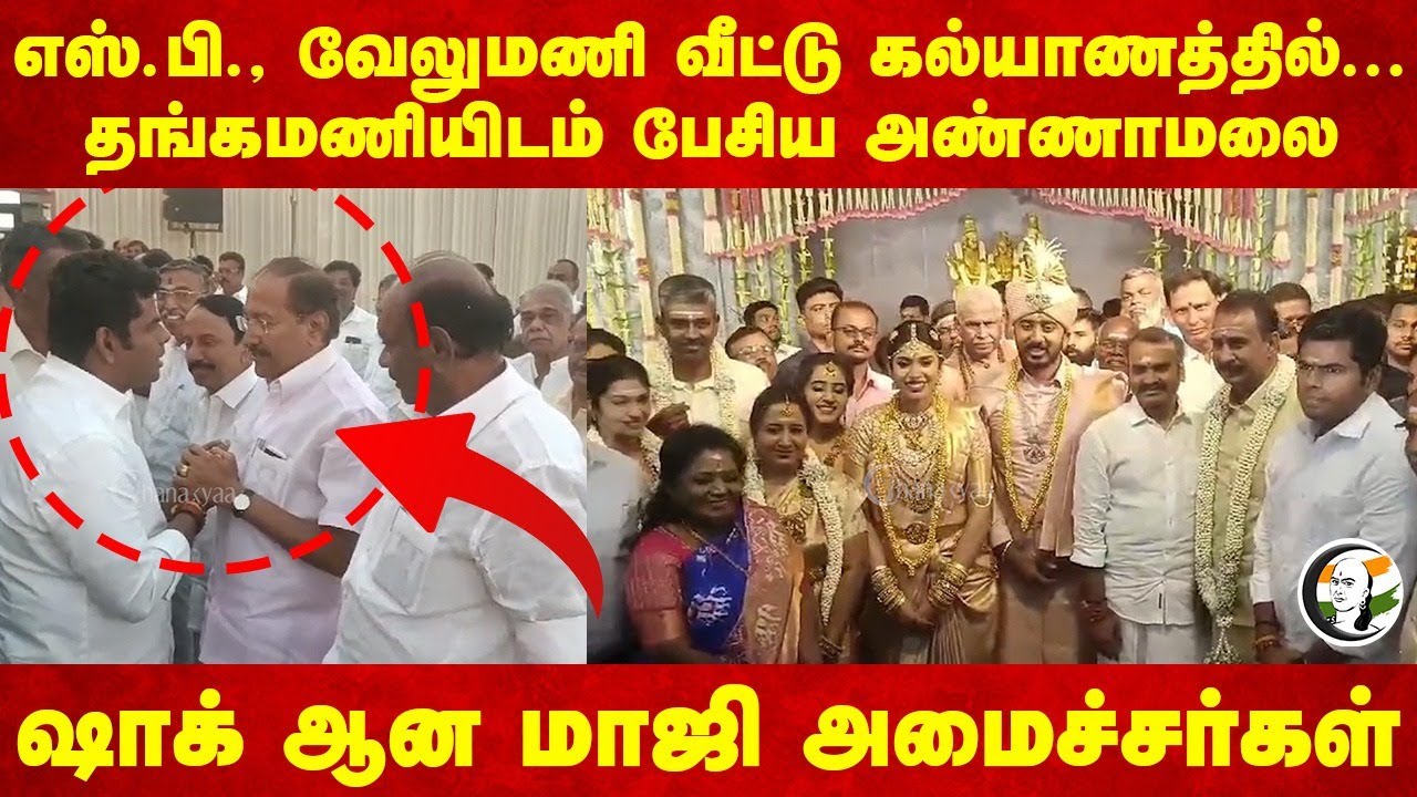 Annamalai Met Thangamani At SP Velumani's Son Wedding | Sengottaiyan | L Murugan | Kushboo