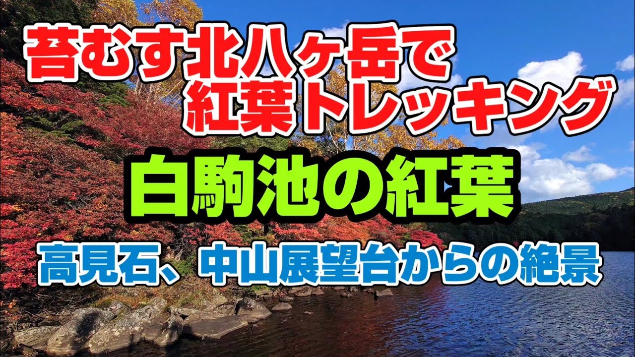 北八ヶ岳の白駒の池の紅葉 高見石や中山展望台からの絶景 Youtube