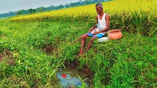 Fishing Video Skilled Grandfather Fishing With A Hook In The Field Canal Best Hook Fishing
